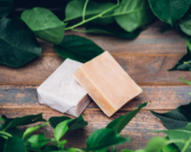 Two blocks of soap on leaves.